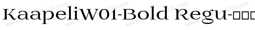 KaapeliW01-Bold Regu字体转换